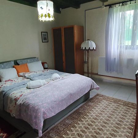 Willa Etno Salas - Etno Ranch - Seosko Turisticko Domacinstvo Palić Zewnętrze zdjęcie