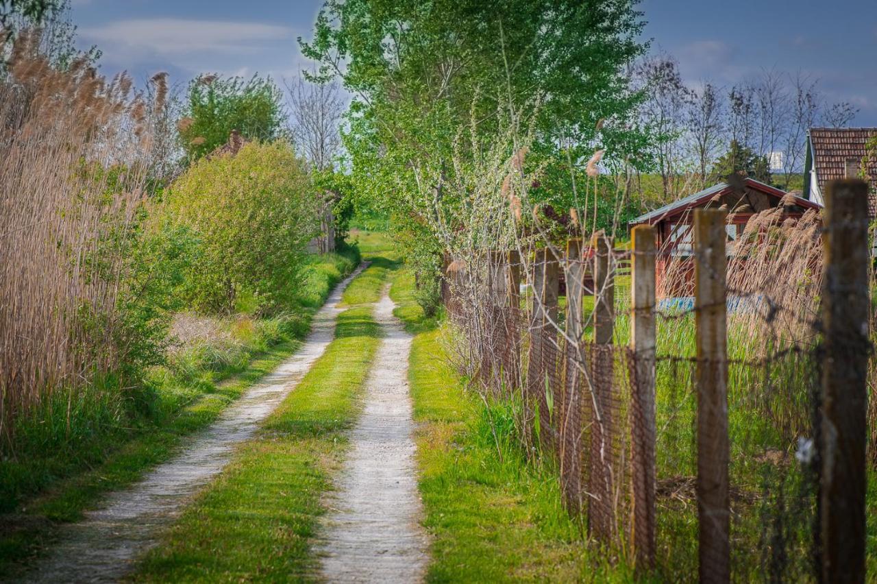 Willa Etno Salas - Etno Ranch - Seosko Turisticko Domacinstvo Palić Zewnętrze zdjęcie