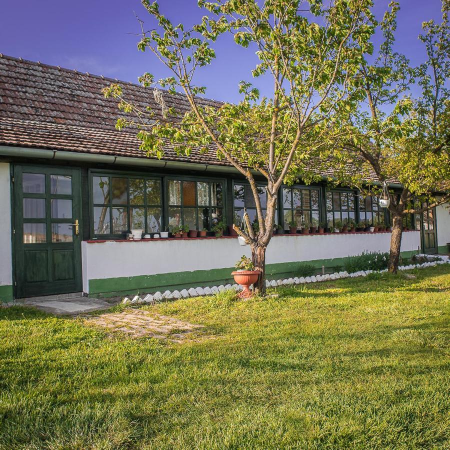 Willa Etno Salas - Etno Ranch - Seosko Turisticko Domacinstvo Palić Zewnętrze zdjęcie