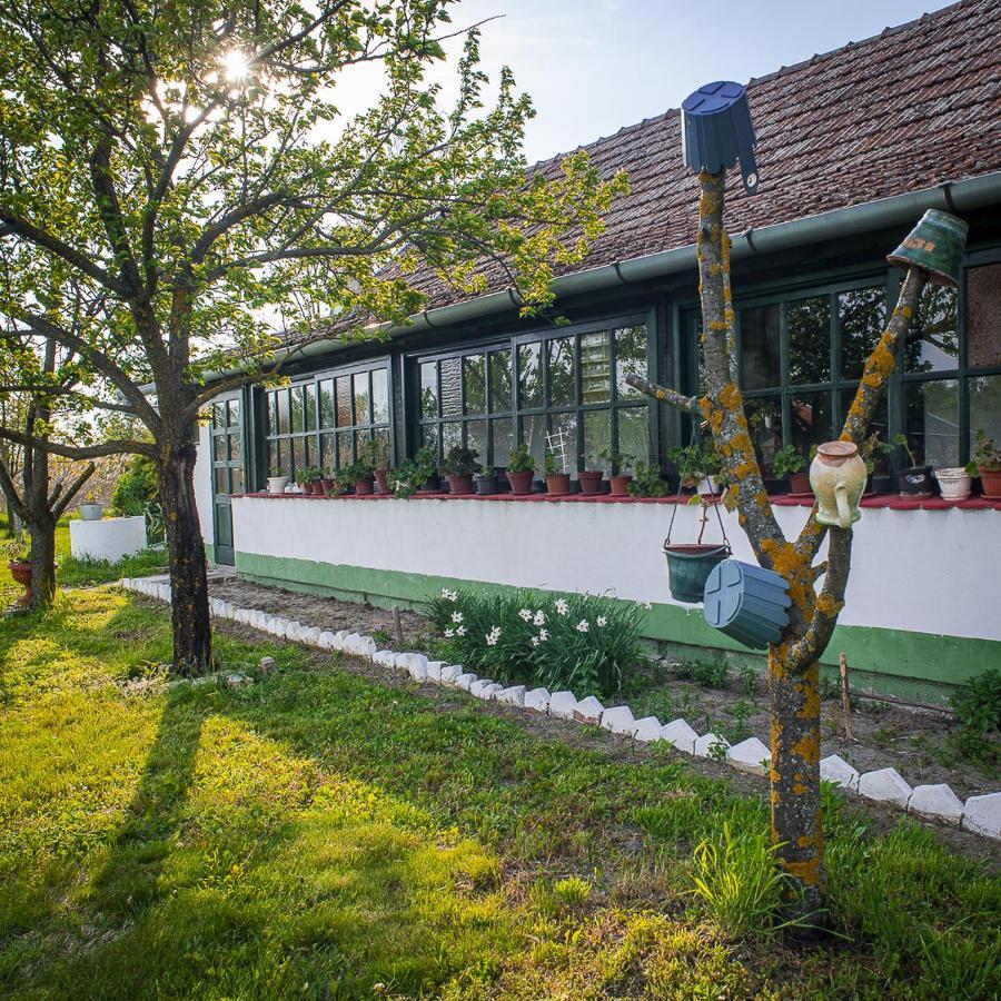 Willa Etno Salas - Etno Ranch - Seosko Turisticko Domacinstvo Palić Zewnętrze zdjęcie