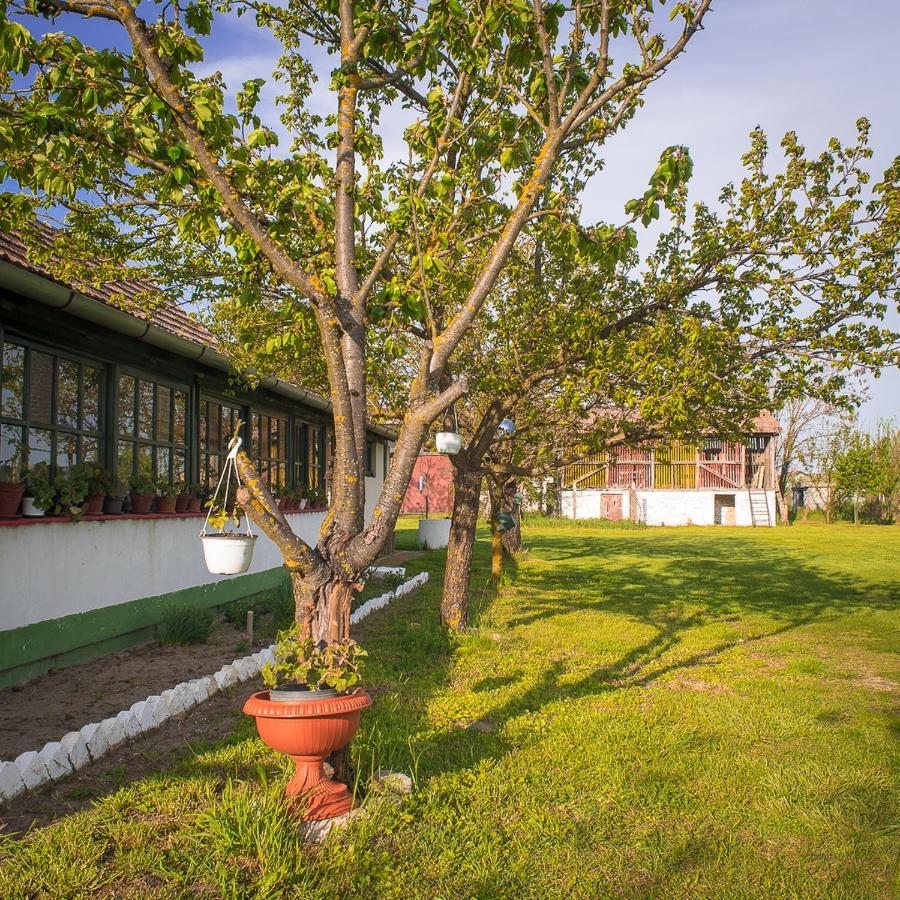 Willa Etno Salas - Etno Ranch - Seosko Turisticko Domacinstvo Palić Zewnętrze zdjęcie