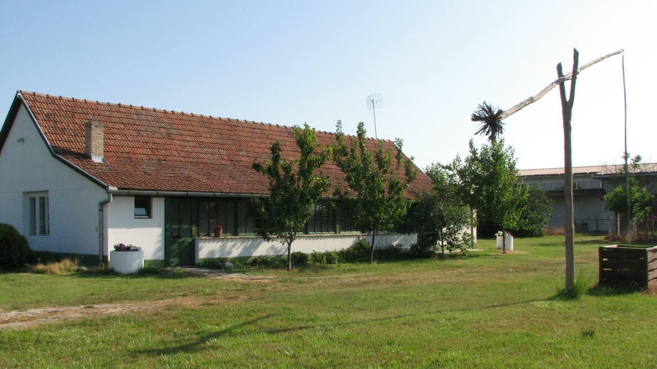 Willa Etno Salas - Etno Ranch - Seosko Turisticko Domacinstvo Palić Zewnętrze zdjęcie
