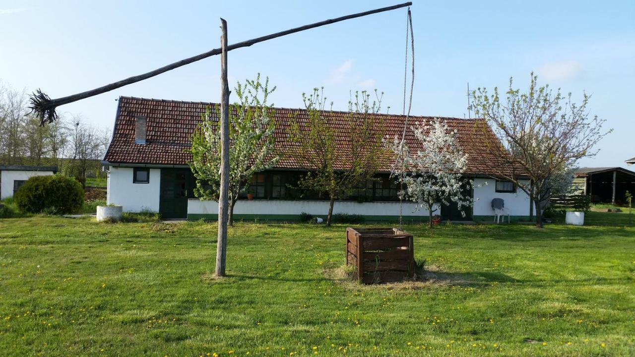 Willa Etno Salas - Etno Ranch - Seosko Turisticko Domacinstvo Palić Zewnętrze zdjęcie